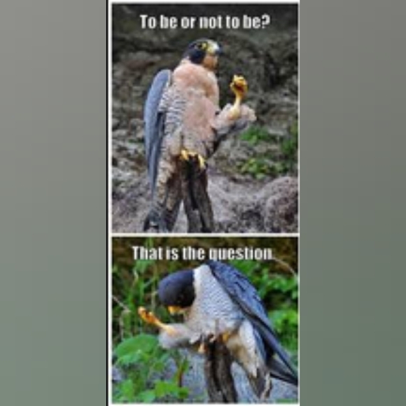 Please, feel free to send me an offer - Picture 4 of 10